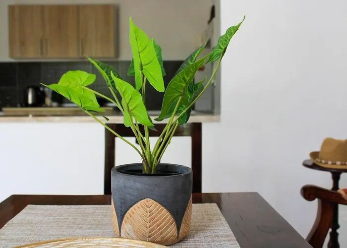 Doukissa's House I -symi - House With Sea View *